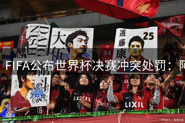 FIFA公布世界杯决赛冲突处罚：阿根廷四将遭禁赛 足协被罚32万美元